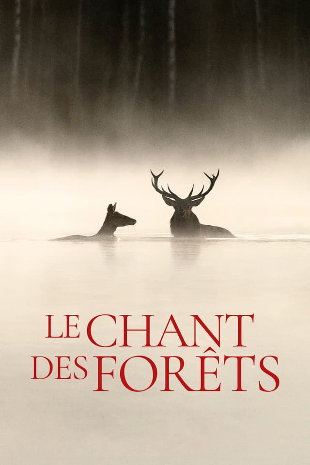 Le chant des forêts