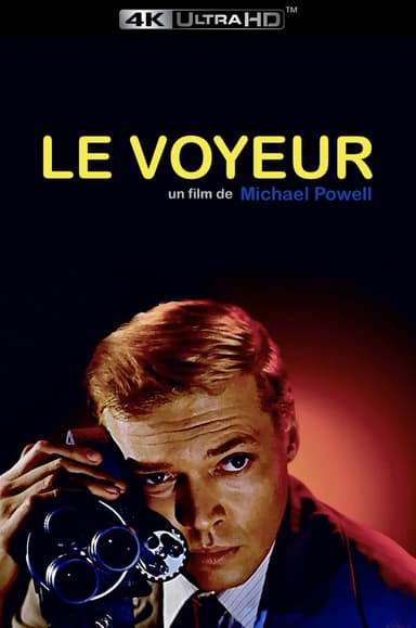 Le Voyeur