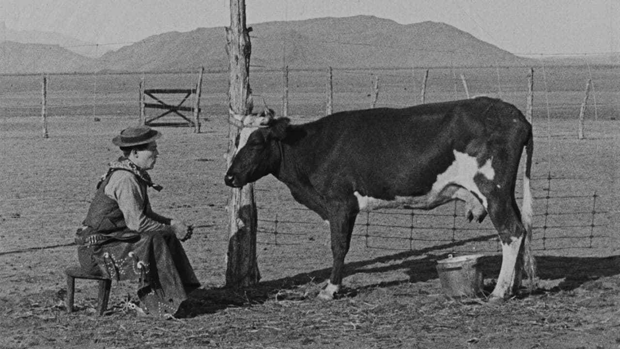 Ma vache et moi
