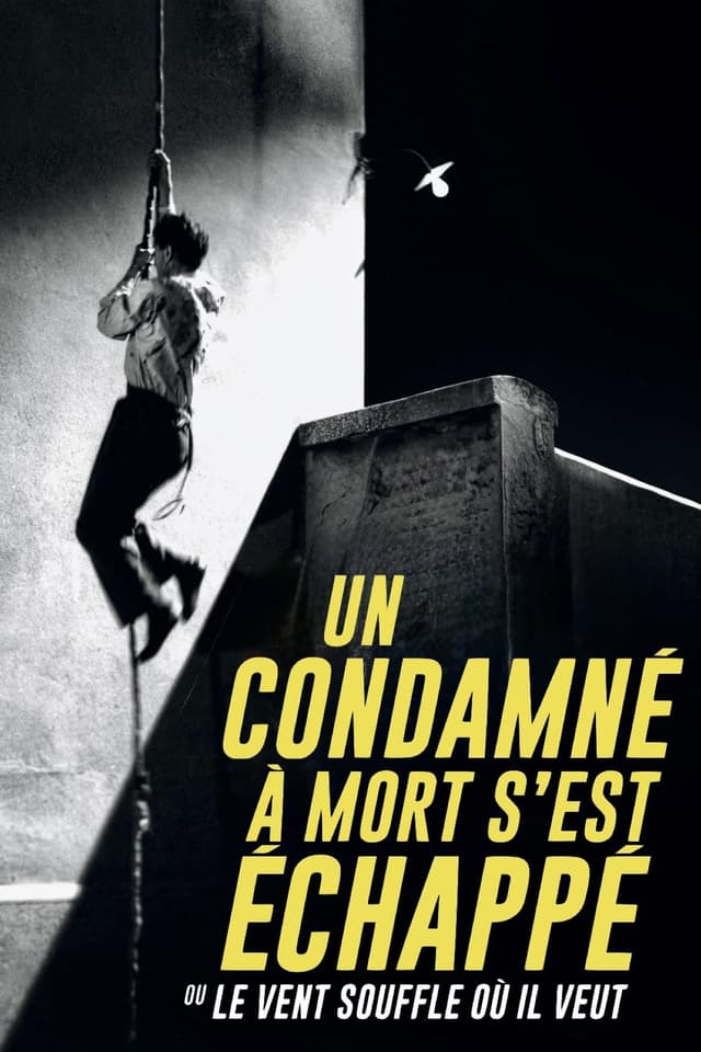 Un condamné à mort s'est échappé