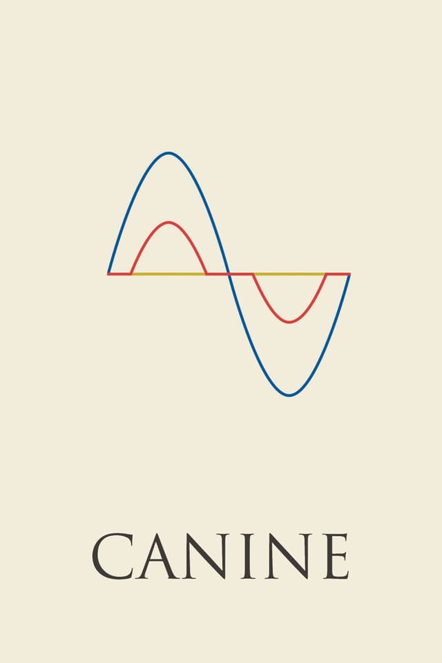Canine