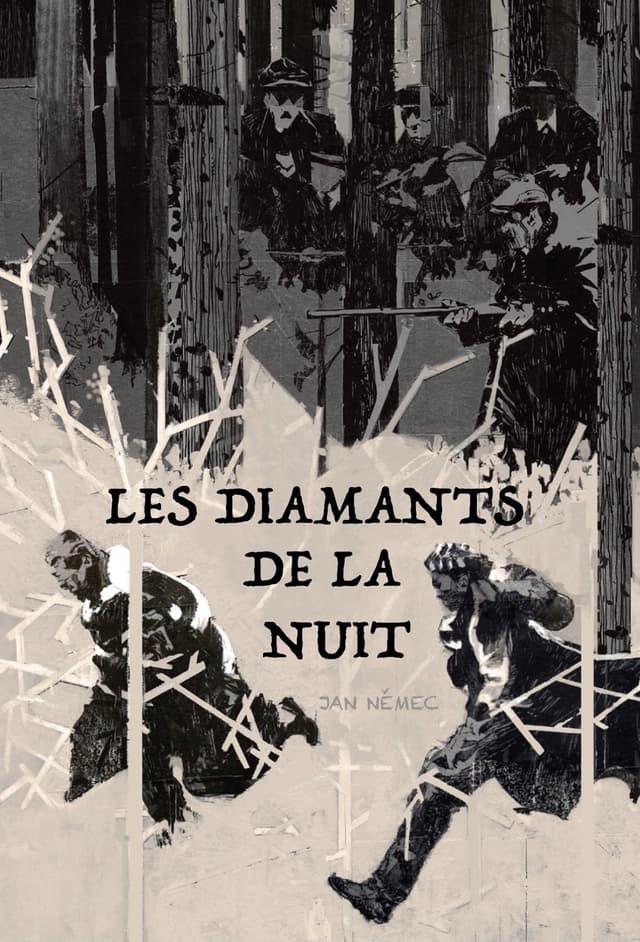 Les Diamants de la Nuit