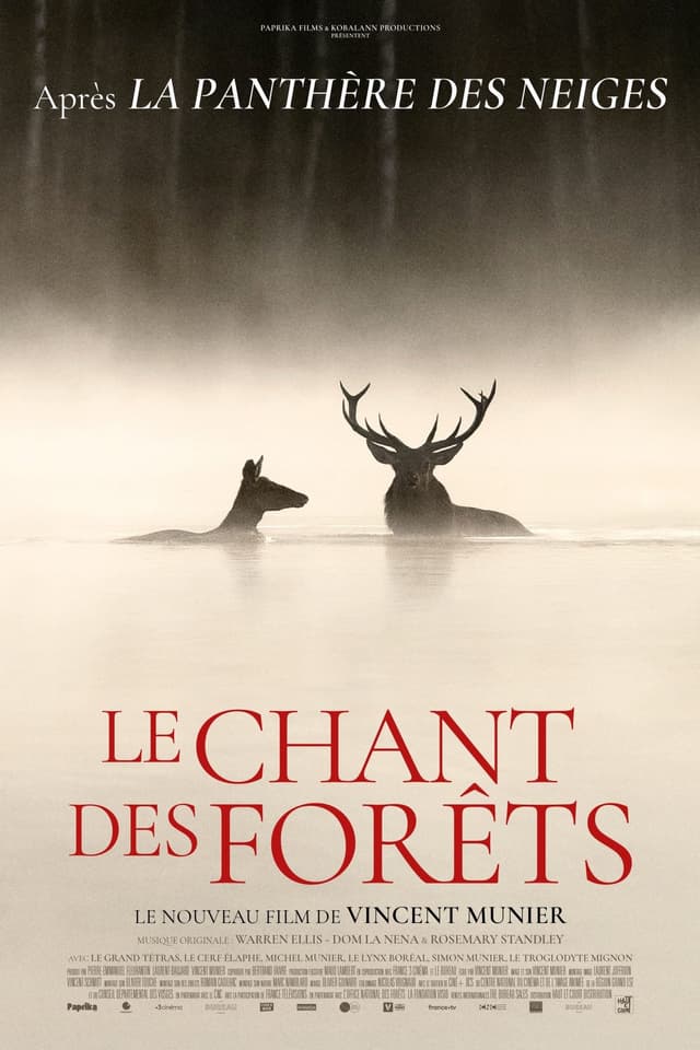 Le chant des forêts
