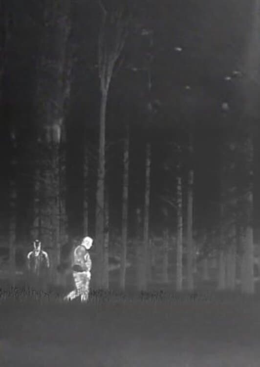 Untitled Trailcam Footage