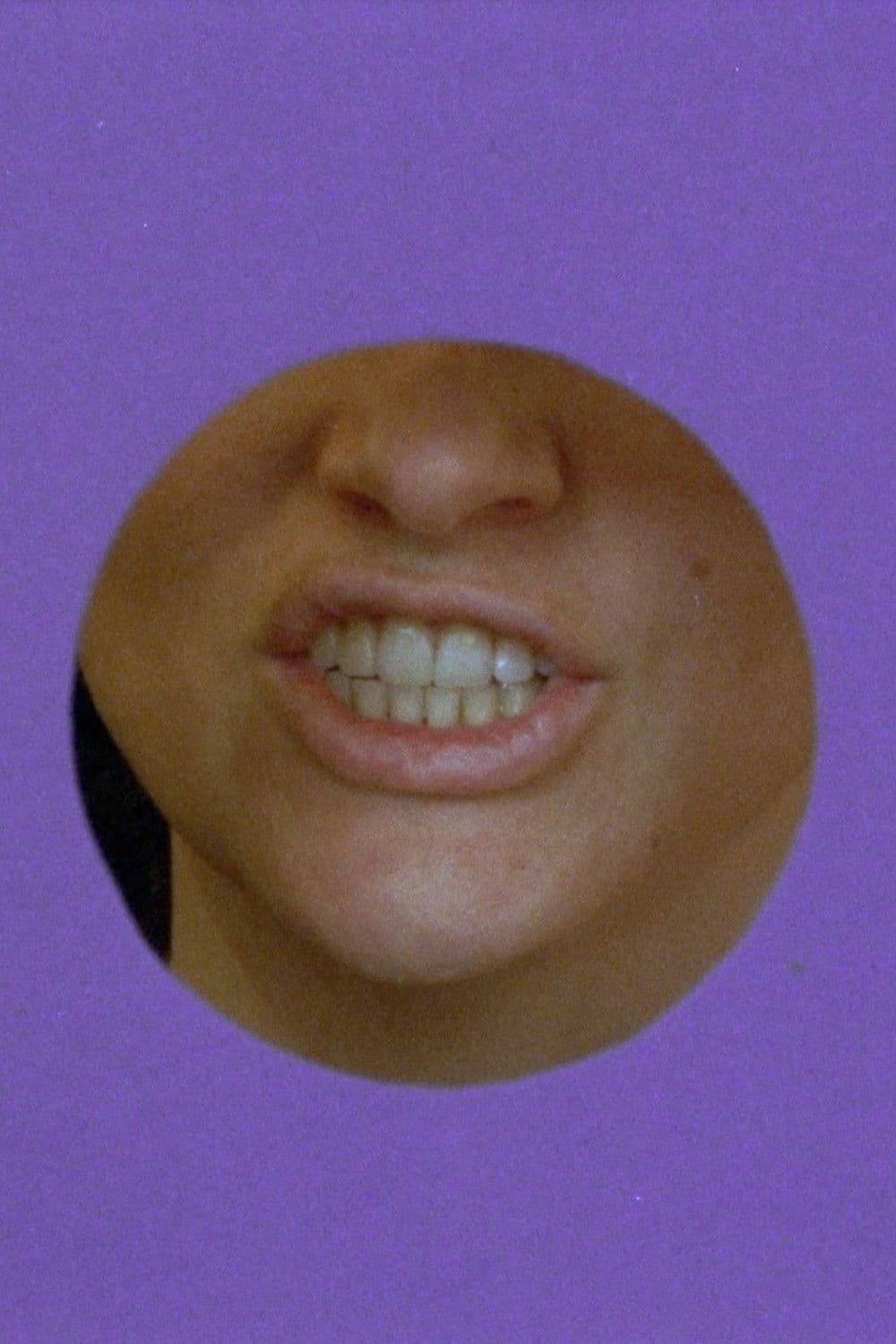 Memory Is an Animal, It Barks with Many Mouths