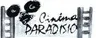 Cinéma Paradisio